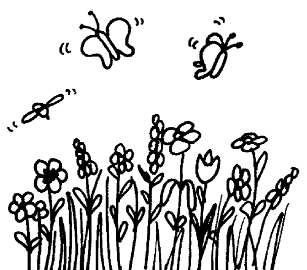 Mariposas 11
