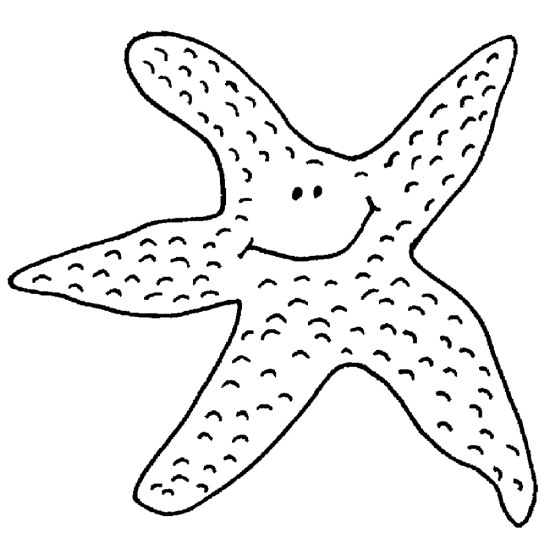 Estrellas de Mar 2