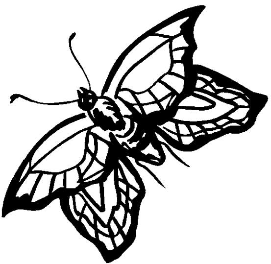 Mariposas 12
