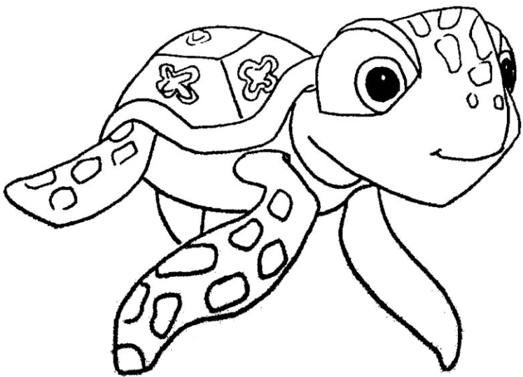 Tortugas 4