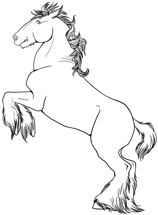 Caballos 29