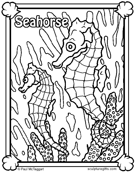 Caballos de Mar 4