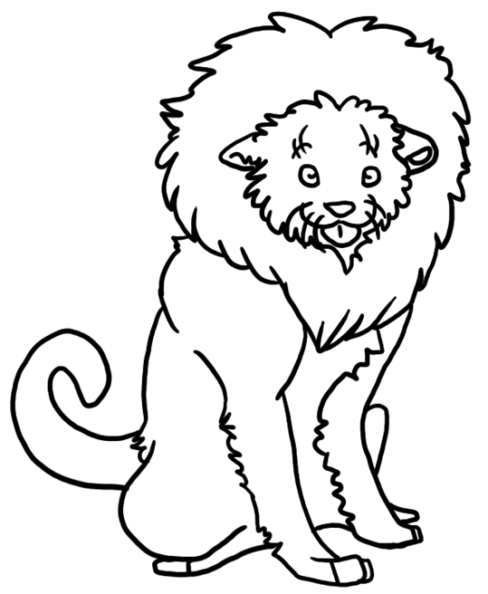 Leones 12