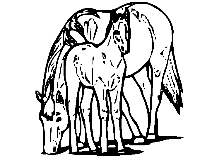Caballos 31