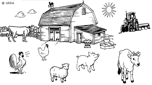 Granja 2