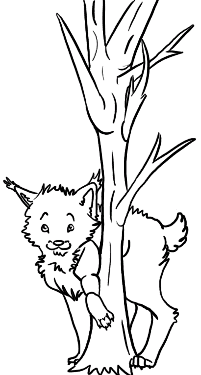 Lince 3