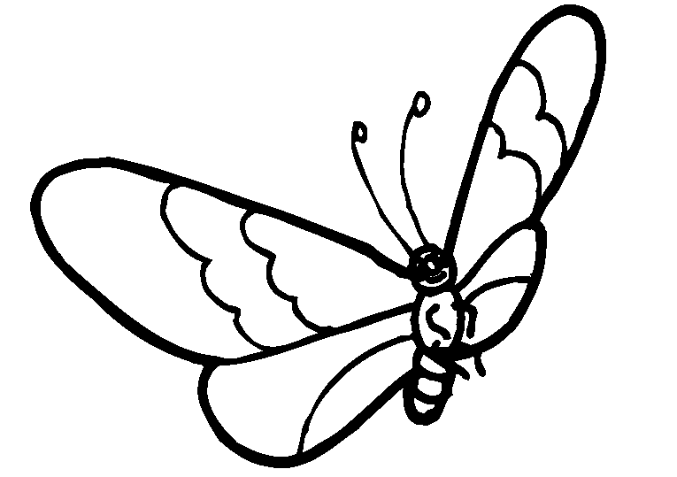 Mariposas 20