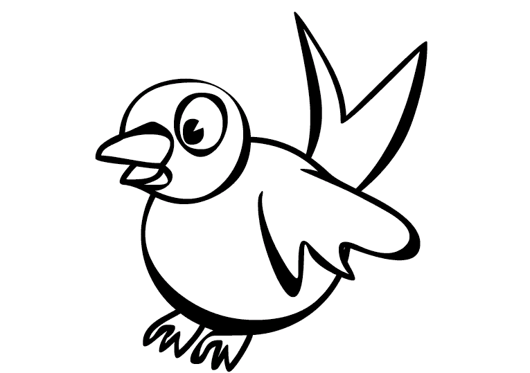 Pajaros 12