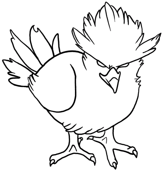 Pajaros 13
