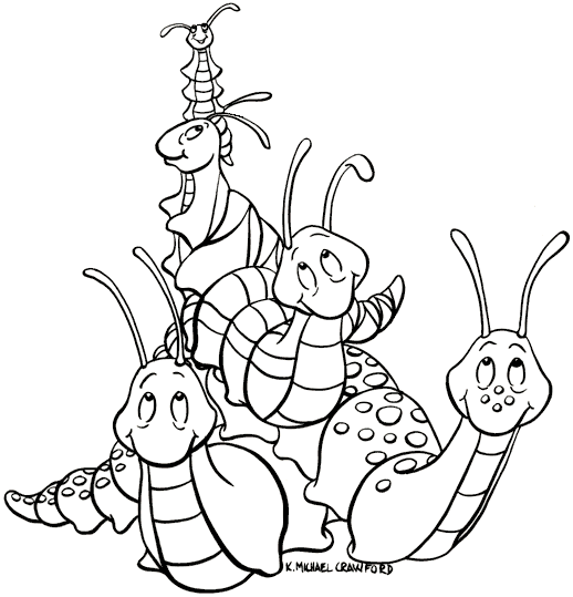 Caracoles 3
