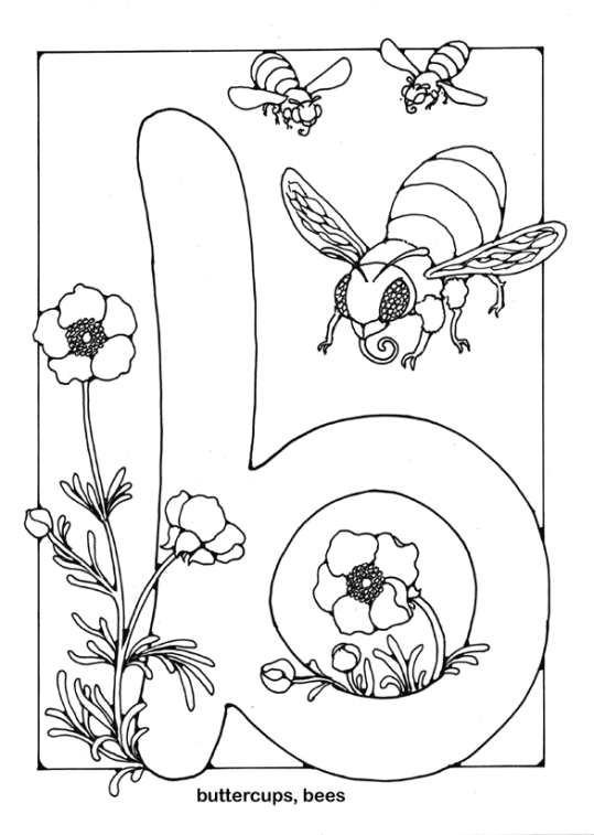 Palabras en Inglés 61