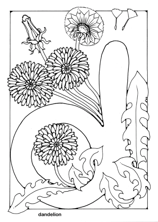 Palabras en Inglés 63