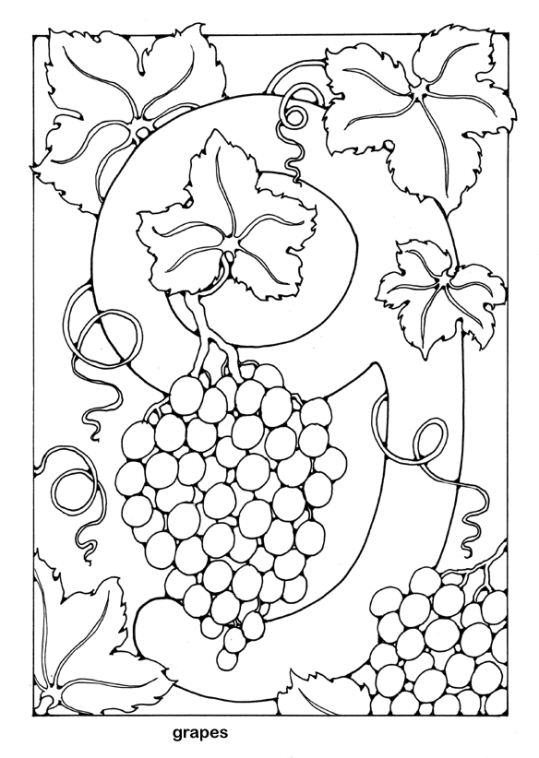 Palabras en Inglés 66