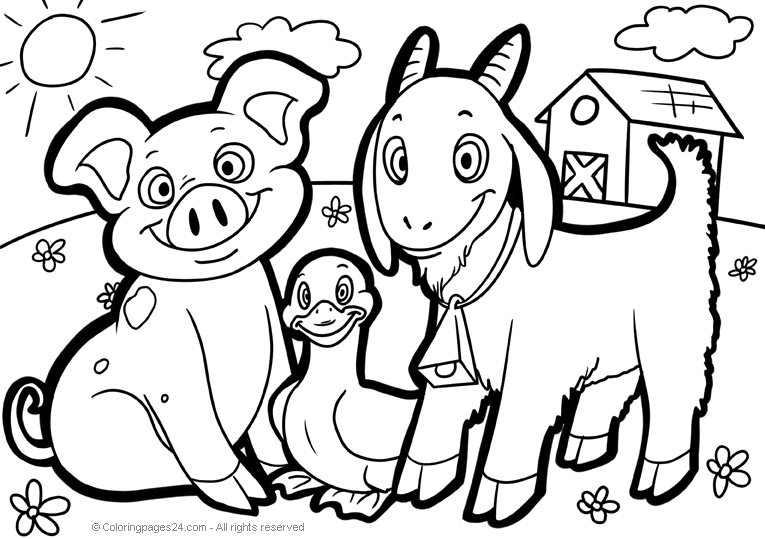 Granja 6