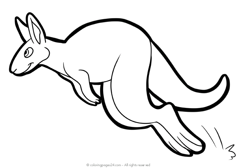 Canguru 3