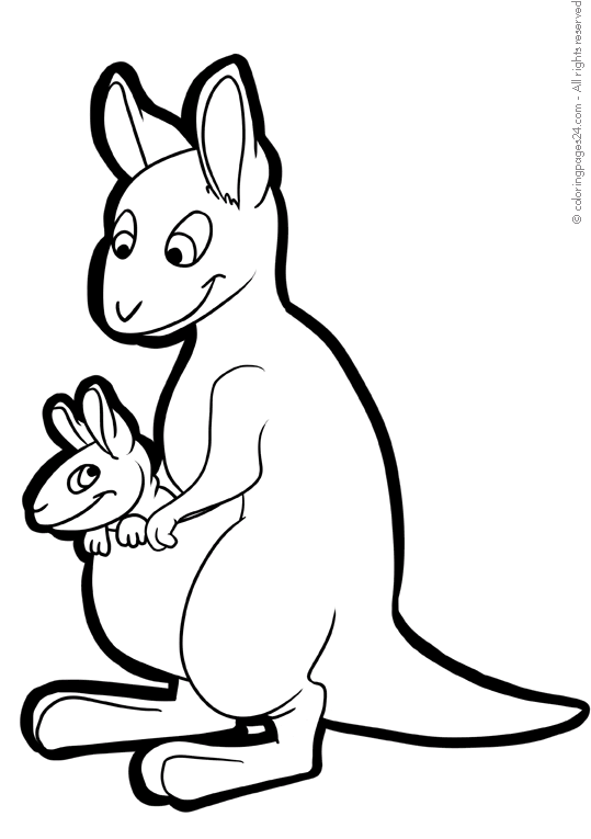 Canguru 4