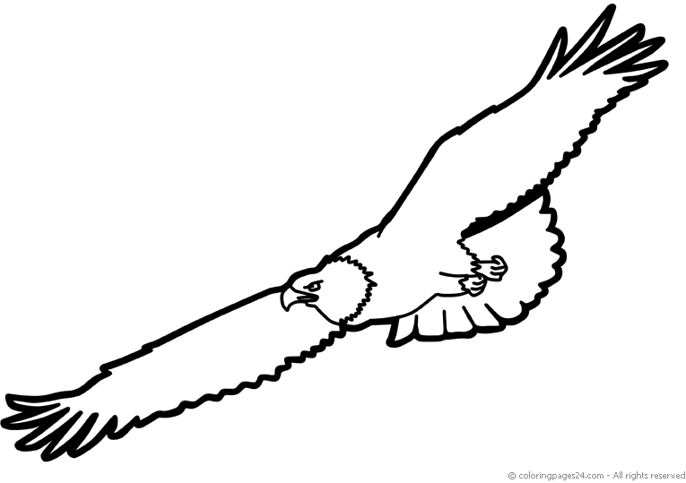 Pajaros 18