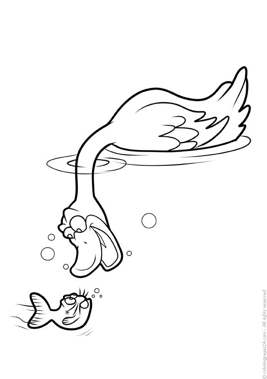 Pajaros 20
