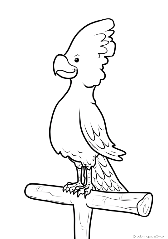 Pajaros 21