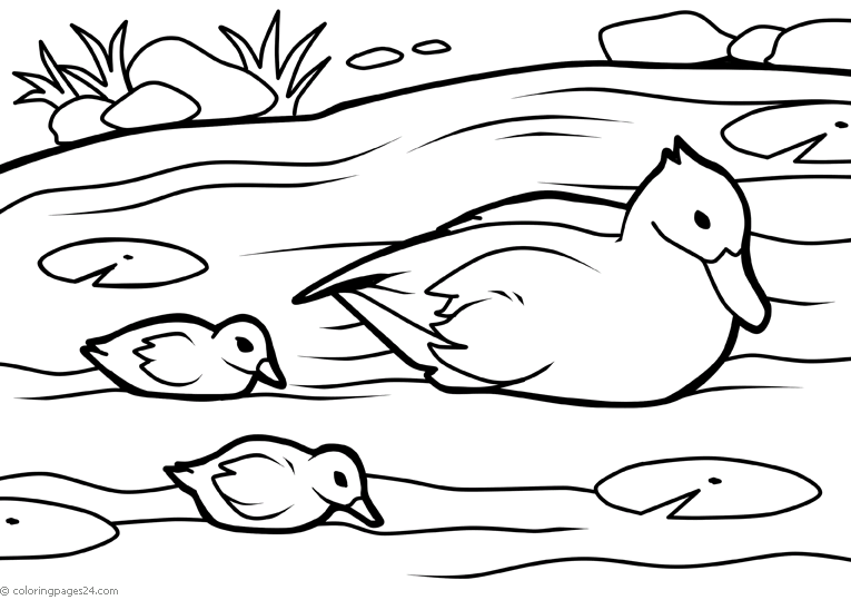 Patos 9