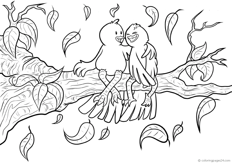 Pajaros 22