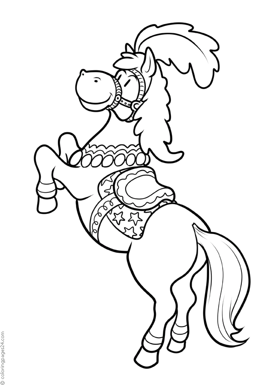 Caballos 58