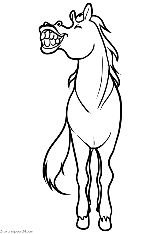 Caballos 61