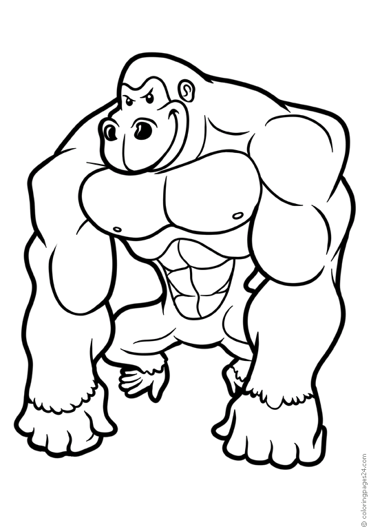 Monos 37