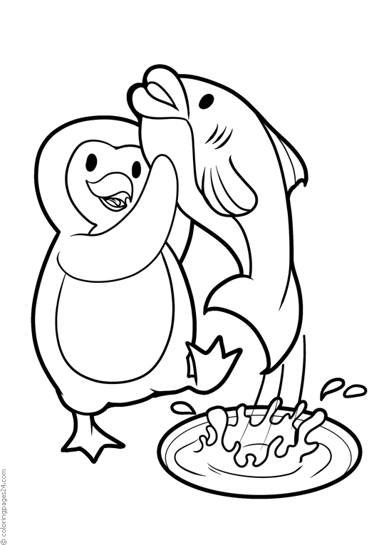 Pinguinos 13