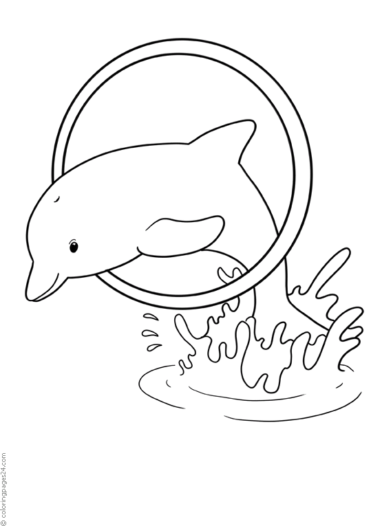 Delfines 26