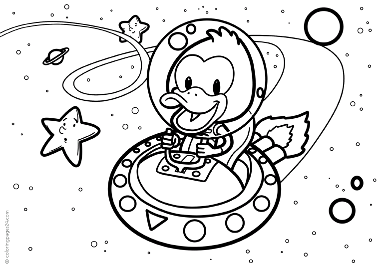 Patos 11