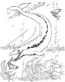 Pescados - 62