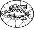 Pescados - 74