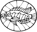 Pescados - 75