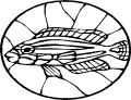 Pescados - 76