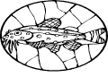 Pescados - 78