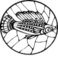 Pescados - 82