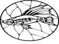 Pescados - 84