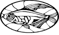 Pescados - 86