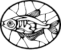 Pescados - 88