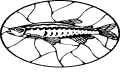 Pescados - 90