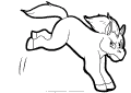Caballos - 37