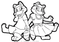 Mapaches - 5